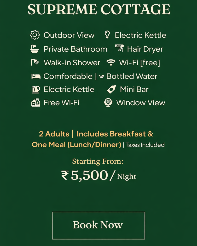 chatgpt image feb 18, 2026, 10 31 31 pm