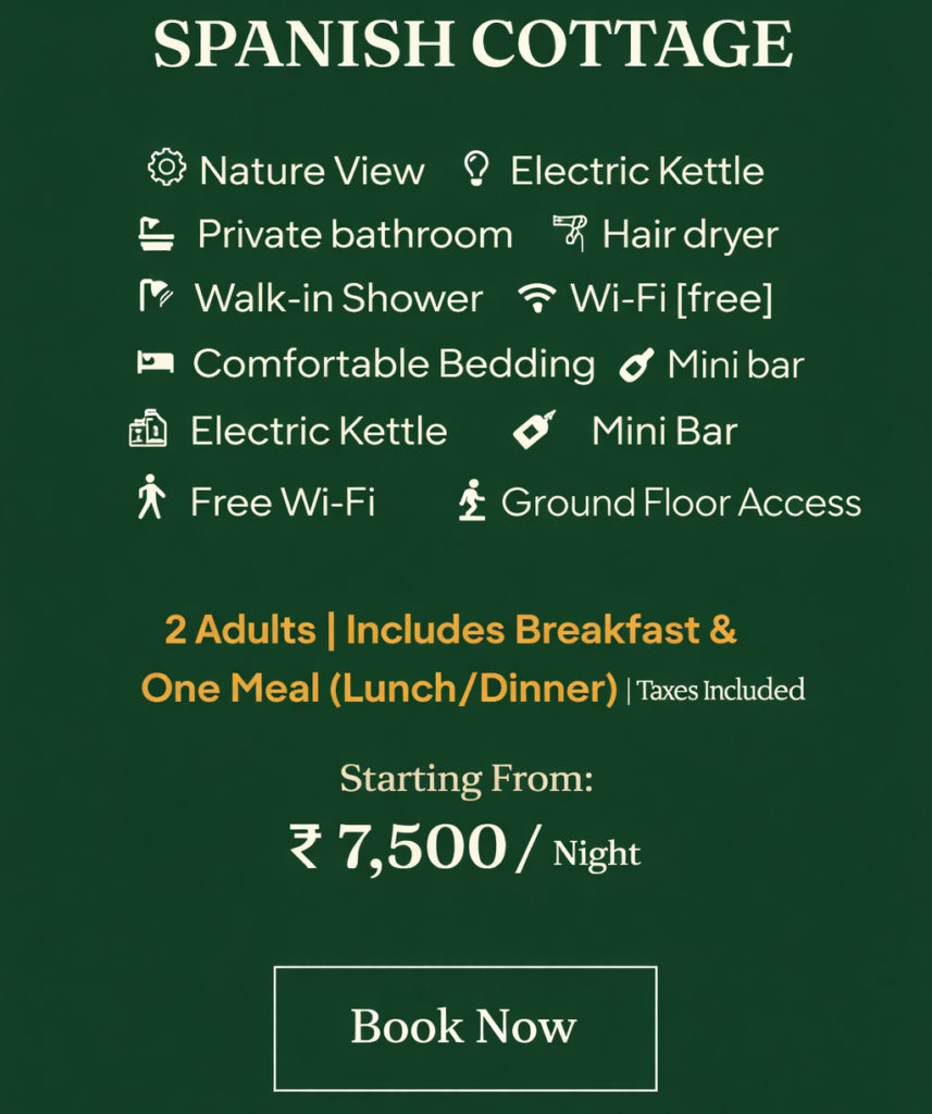 chatgpt image feb 18, 2026, 10 44 42 pm