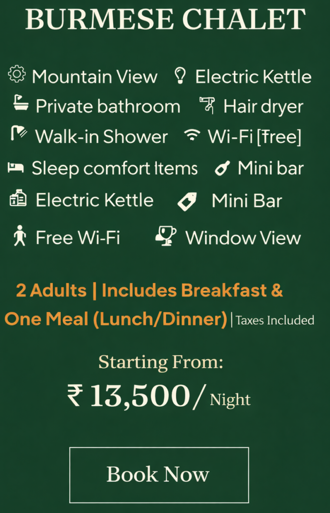 chatgpt image feb 18, 2026, 10 55 05 pm