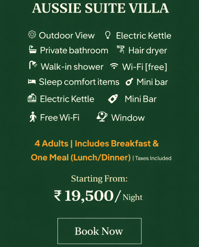 chatgpt image feb 18, 2026, 11 02 42 pm